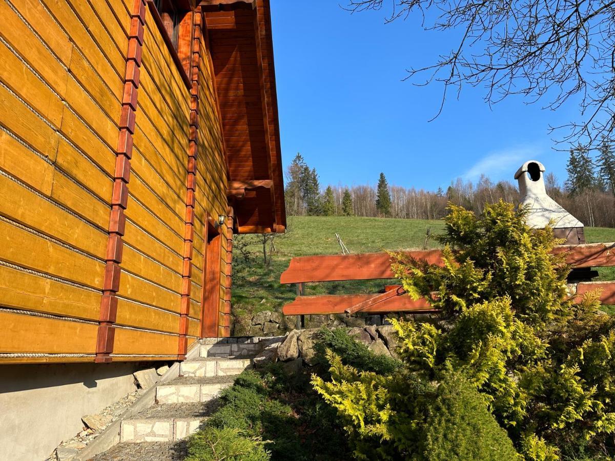 Willa Larysa Agro Wisła Exterior foto